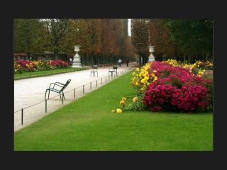 обои Вид на аллею в парке и газон. Франция фото