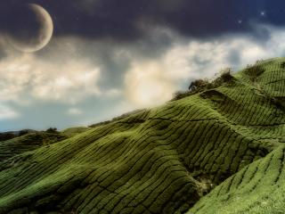 обои На зеленых холмах под огромной Луной фото