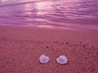 обои Романтический пляж и пара листочков в виде сердечек фото