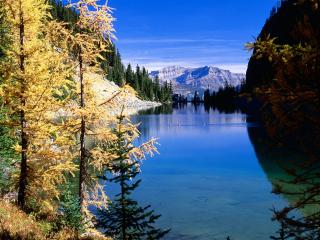 обои Озеро среди лесов в Канаде фото