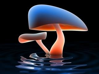 обои Два светящихся гриба в воде фото