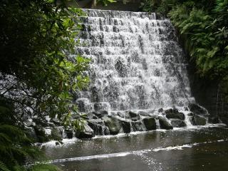 обои Ступени водопада в лесу фото