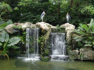 обои Птицы у декоративного водопада фото