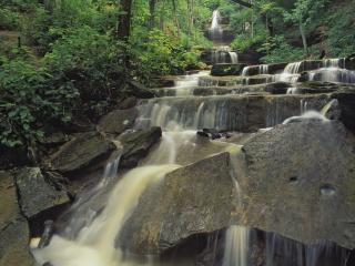 обои Ступенчатый водопад в лесу фото