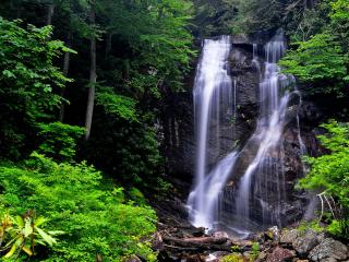 обои Чистые струи водопада в зеленом лесу фото