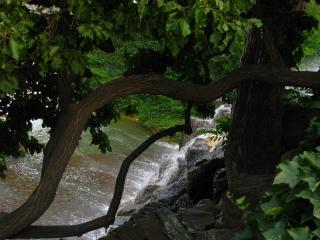 обои Вид на водопад из под ветвей дерева фото