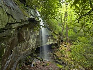 обои Водопад в лесу,   у каменной стены фото