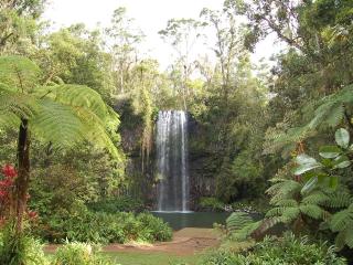 обои Водопад в парке фото