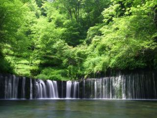 обои Водопад у реки,   в густых зарослях деревьев фото