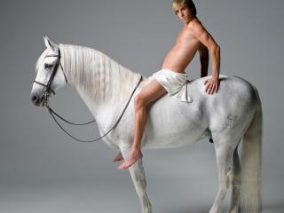 обои Бруно на белом коне фото