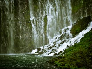 обои Зеленый водопад фото