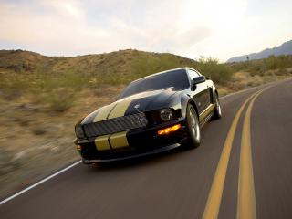 обои Shelby GT-H поворот фото