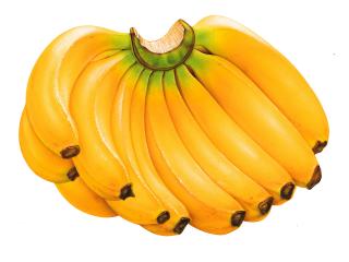 обои Связка бананов фото