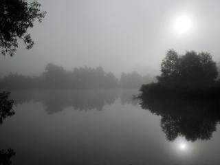 обои Непроглядный туман над озером фото