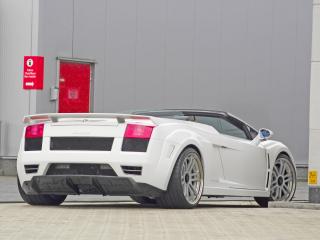 обои IMSA Lamborghini Gallardo Spyder белый фото