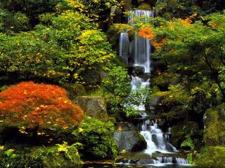 обои Водопад в Японии фото
