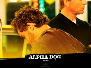 обои Alpha Dog банда фото