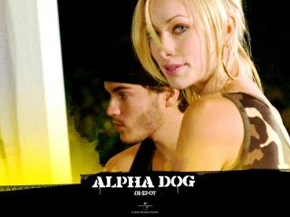 обои Alpha Dog девченка фото
