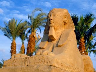 обои Сфинкс,   Египет фото