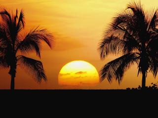 обои Африканский закат солнца фото