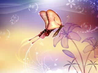 обои Бабочка,   цветы,   пузыри фото