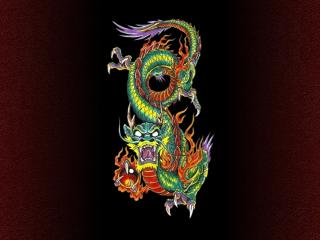 обои Китайский дракон фото