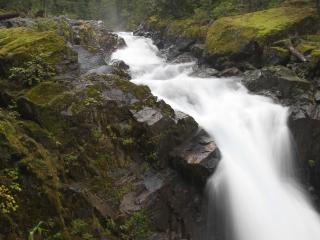 обои Лесной водопад с брызгами фото