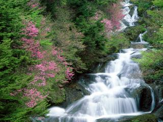 обои Красивейший водопад с цветущими деревьями фото