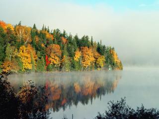 обои Осень в лесу фото