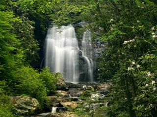 обои Высокий водопад в лесу фото