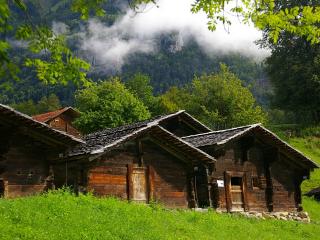 обои Деревянные домики на опушке леса фото