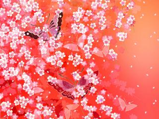 обои Бабочки и цветы вишни фото
