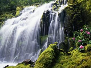 обои Красивый водопад и зелень фото