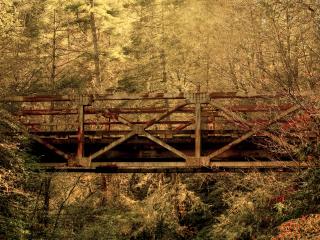 обои Старый мостик в лесу фото