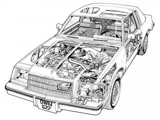 обои Buick Regal Coupe 1985 схема фото