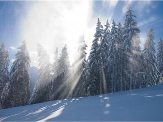 обои Зимний солнечный день в горах фото