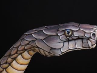 обои Змея рукой,   автор итальянский художник гвидо даниэле фото