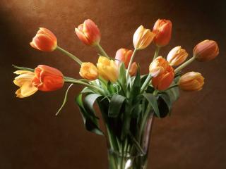 обои Желтые и оранжевые тюльпаны в вазе фото