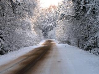 обои Дорога в зимним лесу с проталинами фото