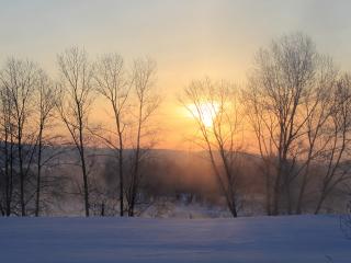 обои Зимнее утро,   туман и деревья фото