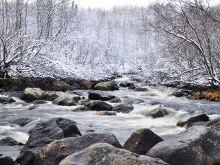 обои Камни в реке,   деревья под первым снегом фото