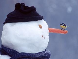 обои Симпатичный снеговик и синичка на его носу фото