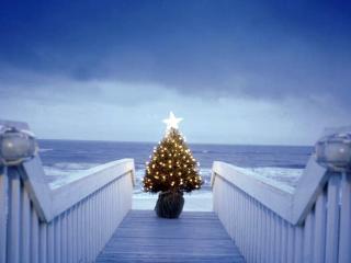 обои Пирс украшенный новогодней елкой фото