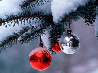 обои New Year,   елка с игрушками припорошена снегом фото