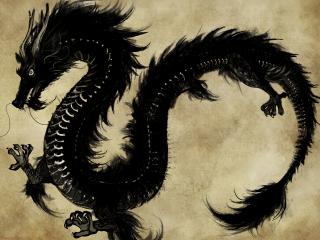 обои Черный дракон символ года фото