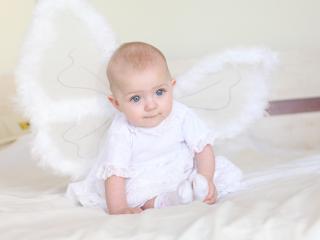 обои Маленький Ангелочек с крыльями фото