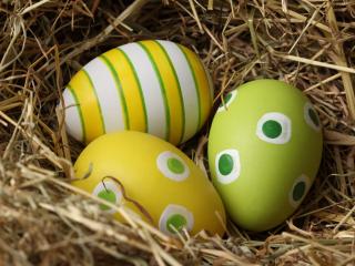 обои Пасхальные яйца в гнезде фото