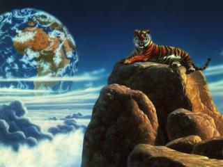 обои Тигр высоко на камне фото