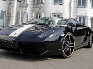 обои Черный Lamborghini gallardo c  полосой фото