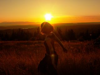 обои В поле на закате фото